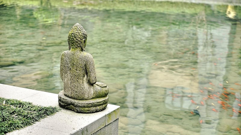 Guided Meditation